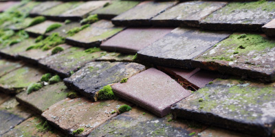 Black Bourton roof repair costs